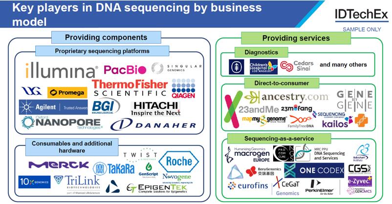 ???????????DNA??????????