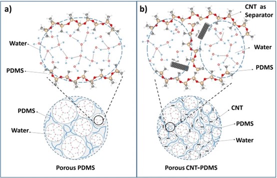 ??PDMS?????CNT-PDMS????????γ??????????????????????????????CNT?????????????С????