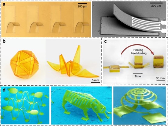 ???????3D??