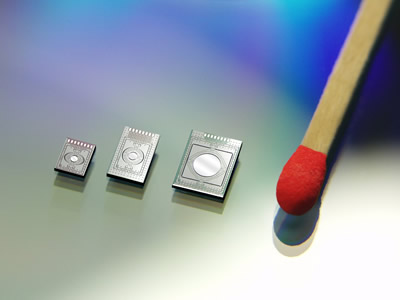 Fraunhofer IPMS?з?????????????????????MEMS??辵