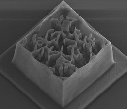 ???о???????????????SEM??????5 µm