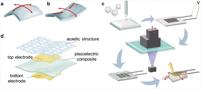 synclastic??anticlasticЧ???auxetic-PENG???????????