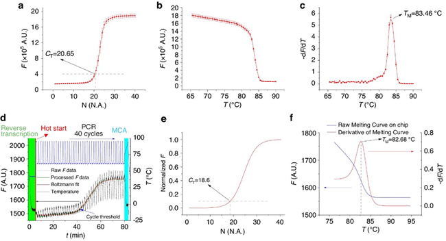 ????qPCR????????о???RT-PCR???????????????
