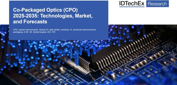 ????????????CPO?????????г?-2024?桷