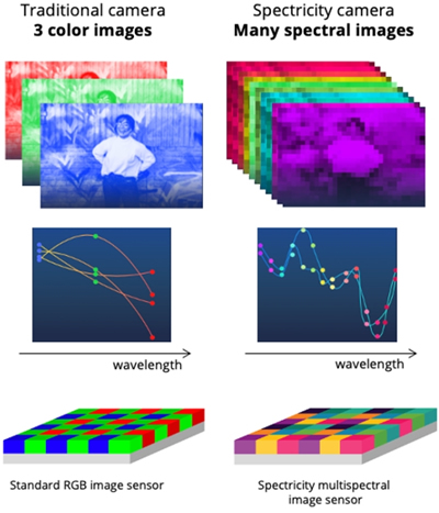 Spectricity????????????????????????????RGB?????????????