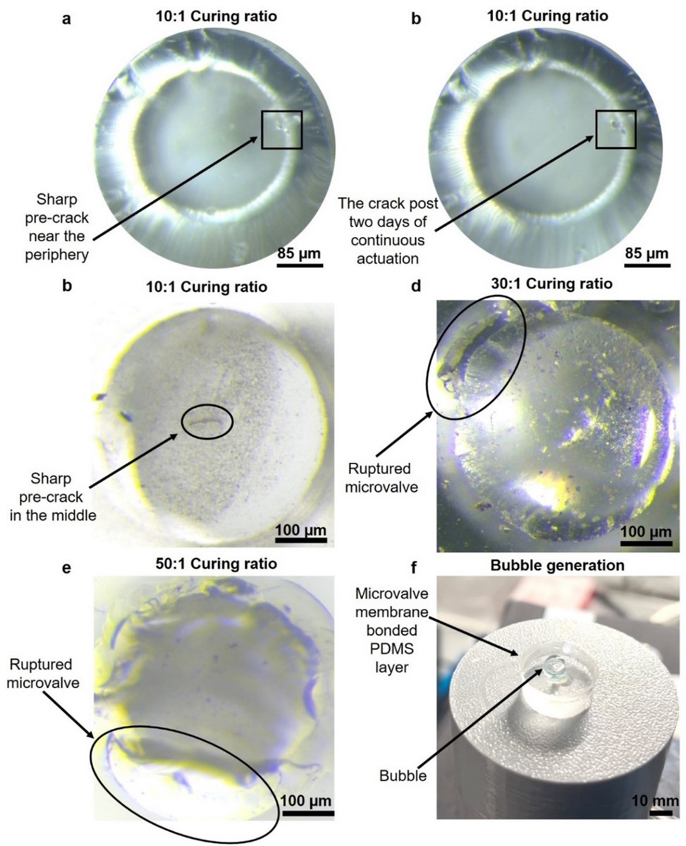 ?????????????????PDMS????????350 µm?????30 µm????????????μ????