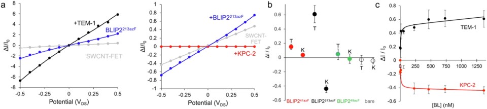 ???BL?????????????CNT-FET???????BLIP2???????????????????е絼?????