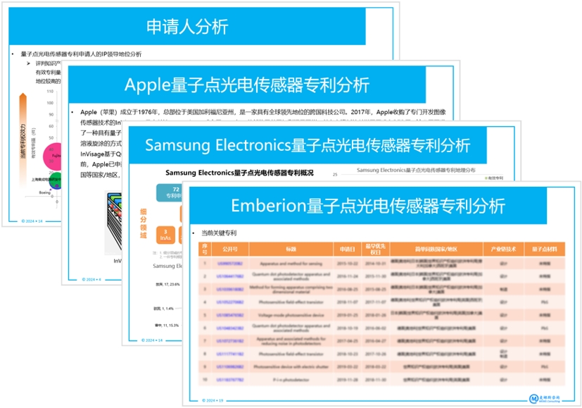 ????????紫?????????????-2024?桷