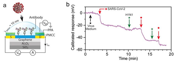 ??????????????SARS-CoV-2????
