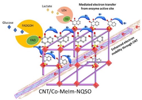 CNT/Co-MeIm-NQSO?鵼??????????????