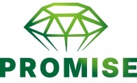 PROMISE?????????????NV?????????????????????